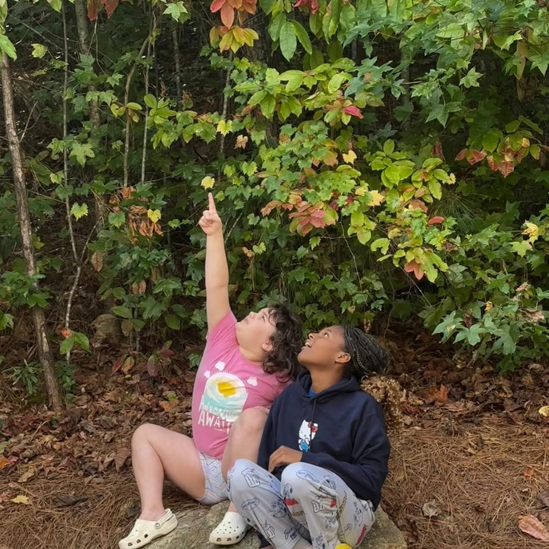 Two students pointing up at trees